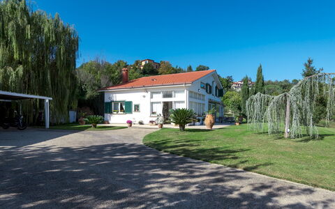 Villa Bubi 8+1: Baum, Zuhause, Haus, Strauch, Wohngebiet, Hütte, Estate, Schatten, Auffahrt, Rasen