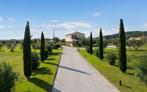 La Buganvilla 14: Himmel, Gras, Strauch, Grundstueck, Einfach, Wiese, Landscaping, Plantage