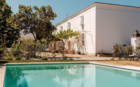 Masseria Profilo 8: Estate, Garten, Schatten, Schwimmbad, Hazienda, Garten, Landscaping, Hinterhof, Hof, Villa
