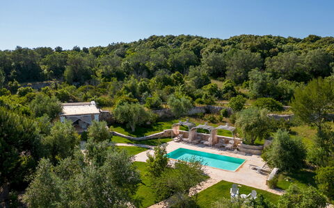 Pigreco 6+2: Baum, Landschaft, Schwimmbad, Garten, Estate, Landscaping, Eco Hotel, Resort, Hinterhof, Villa