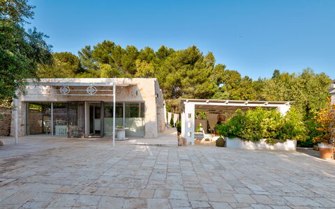 Pigreco 6+2: Baum, Schatten, Estate, Auffahrt, Beton, Landscaping, Hof, Hazienda, Flagstone, Villa