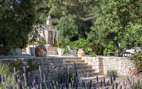 Pigreco 6+2: Strauch, Garten, Landscaping, Hinterhof, Botanischer Garten, Garten, Blumentopf