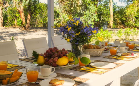 Villa Laconella 8+4: Möbel, Geschirr, Tabelle, Stuhl, Servierware, Gartenmöbel, Dishware, Tischdecke, Essen, Drinkware