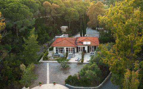 Villa Laconella 8+4: Baum, Haus, Landschaft, Wohngebiet, Zuhause, Strauch, Ländliches Gebiet, Dach, Hütte, Estate