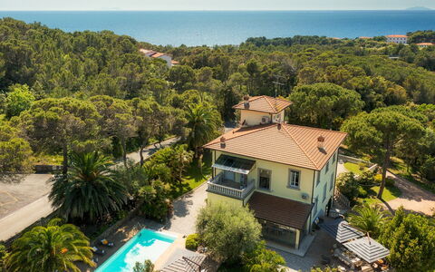 Villa Gaius 8+2: Blau, Wohngebiet, Resort, Eco Hotel, Estate, Balkon, Schwimmbad, Tropen, Villa