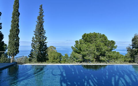 Villa Armonia 8: Blau, Schwimmbad, Immergrün, Tropen, Lärche, Pine Familie