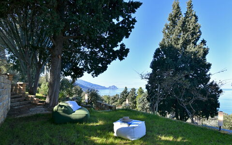 Villa Armonia 8: Landschaft, Gartenmöbel, Sonnenlicht, Garten, Rasen, Schatten, Sonnenliege, Landscaping, Stuhl, Immergrün