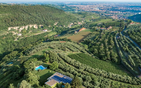 Villa degli Ulivi 8: Grün, Natur, Natürlichen Umgebung, Vogelperspektive, Vegetation, Landschaft, Natürliche Landschaft, Luftaufnahmen, Hochland, Grundstueck