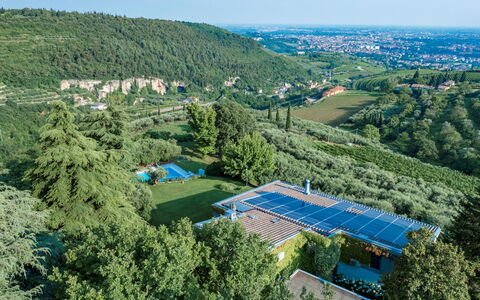 Villa degli Ulivi 8: Baum, Vegetation, Vogelperspektive, Landschaft, Luftaufnahmen, Grundstueck, Schwimmbad, Bergstation, Eco Hotel, Garten