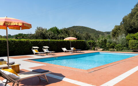 Villa Nikka 6: Schwimmbad, Resort, Eco Hotel, Hazienda, Hotel, Sonnenliege, Thermae, Villa
