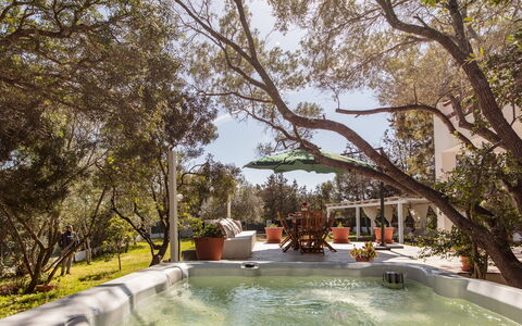 Casa Valentina 6: Baum, Möbel, Resort, Schwimmbad, Schatten, Gartenmöbel, Garten, Stuhl, Hinterhof, Estate