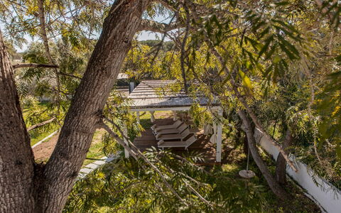Casa Valentina 6: Ast, Baum, Blatt, Holz, Vegetation, Zweig, Kofferraum, Frühling, Gehölz, Sonnenlicht