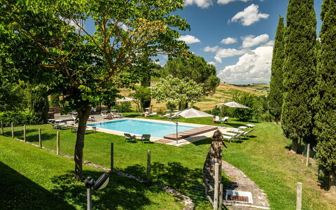 Le Colombelline 12: Schwimmbad, Garten, Freizeit, Rasen, Estate, Gartenmöbel, Sonnenliege, Landscaping, Villa, Park