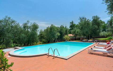 Villa Irene 6: Schwimmbad, Resort, Hazienda, Eco Hotel, Gartenmöbel, Hinterhof, Landscaping, Garten, Villa, Hotel