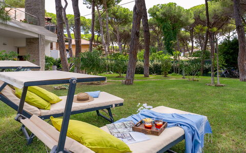 La Villa in Pineta 10: Möbel, Gartenmöbel, Schatten, Garten, Freizeit, Rasen, Stuhl, Sonnenliege, Tisch Im Freien, Garten