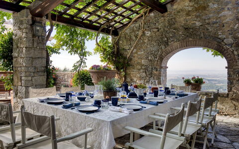 Scandelaia 12: Möbel, Tabelle, Stuhl, Restaurant, Tischdecke, Küche & Esszimmer Tisch, Tisch Im Freien, Terrasse, Esszimmer, Zimmerpflanze