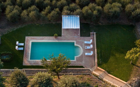 Villa Binetti 7: Schwimmbad, Resort, Thermae, Garten, Water Feature, Estate, Rasen, Landscaping, Reflecting Pool, Hinterhof
