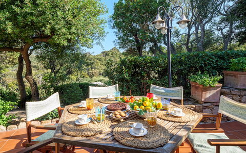 Villa Stella 6: Möbel, Gartenmöbel, Tabelle, Stuhl, Tisch Im Freien, Küche & Esszimmer Tisch, Blumentopf, Garten, Terrasse