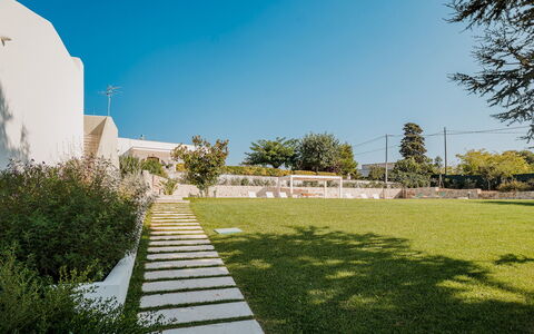 Villa Bellina 6: Garten, Rasen, Schatten, Landscaping, Garten, Hinterhof, Walkway, Kunstrasen, Park, Hazienda