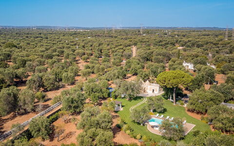 Trulli Biancapetra 8+2: Baum, Natur, Natürlichen Umgebung, Vegetation, Landschaft, Grundstueck, Vogelperspektive, Einfach, Luftaufnahmen