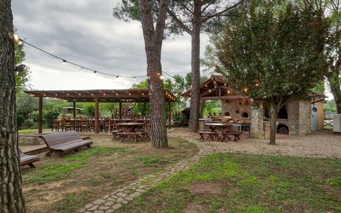 Podere Giardino 16+2: Baum, Holz, Möbel, Schatten, Tisch Im Freien, Gartenmöbel, Kofferraum, Picknicktisch, Bank, Outdoor Struktur
