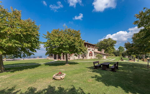Tenuta Montiepoli 12+3: Gras, Landschaft, Öffentlicher Raum, Einfach, Estate, Rasen, Schatten, Hazienda, Garten, Park