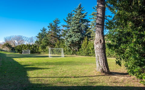 Villa Isotta 8+4: Blau, Gras, Baum, Grundstueck, Rasen, Wiese, Garten, Landscaping, Lärche, Park