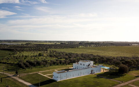 Masseria Samali 14+4: Daytime, Gras, Einfach, Landschaft, Wiese, Grundstueck, Ländliches Gebiet, Estate, Feld, Wiese