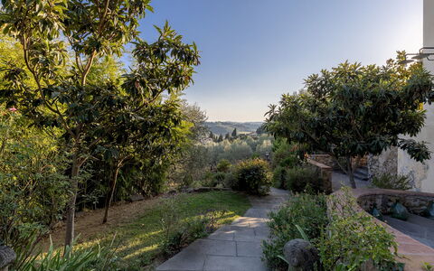 Villa Treggiaia 12+2: Vegetation, Strauch, Landschaft, Pflanzengemeinschaft, Garten, Sonnenlicht, Landscaping, Botanischer Garten, Chaparral