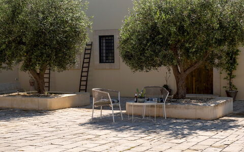 Dimora degli Ulivi 10: Schatten, Garten, Flagstone, Gehölz, Blumentopf, Beton, Hof, Landscaping, Backstein, Design
