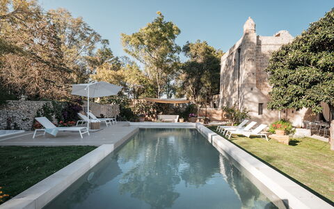 Masseria Muto 6: Wand, Die Architektur, Estate, Gartenmöbel, Schwimmbad, Hof, Hazienda, Villa, Hinterhof