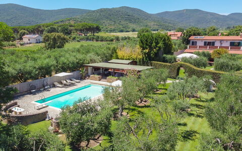 Villa Castiglione 9: Resort, Schwimmbad, Eco Hotel, Garten, Hazienda, Estate, Bauernhaus, Landscaping, Schatten, Villa