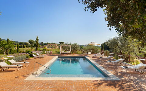 Antico Ceraso 10: Schwimmbad, Resort, Estate, Garten, Hazienda, Eco Hotel, Landscaping, Gartenmöbel, Sonnenliege, Villa