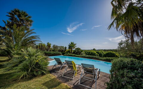 Villa Pineta 6: Blau, Grün, Baum, Schwimmbad, Vegetation, Resort, Strauch, Eco Hotel, Garten
