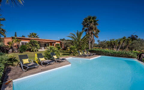 Villa Pineta 6: Blau, Resort, Schwimmbad, Eco Hotel, Schatten, Tropen, Estate, Hazienda, Landscaping