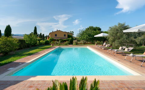 Villa Allodola 12: Schwimmbad, Hazienda, Estate, Garten, Villa, Hof, Landscaping, Bauernhaus, Resort, Eco Hotel
