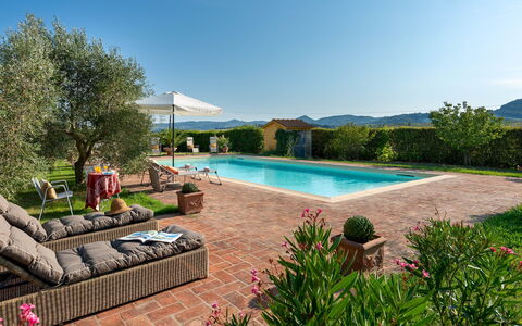 Villa Allodola 12: Strauch, Blumentopf, Zuhause, Garten, Hazienda, Zimmerpflanze, Schwimmbad, Estate, Bauernhaus, Eco Hotel