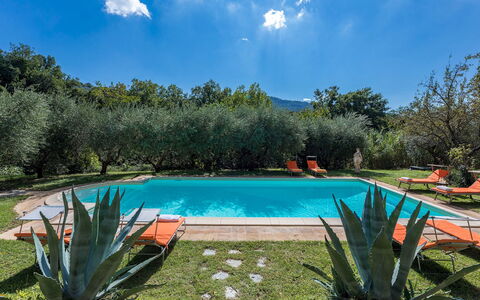 Casa Pippin 8: Schwimmbad, Hazienda, Resort, Garten, Estate, Eco Hotel, Bauernhaus, Landscaping, Hinterhof, Garten
