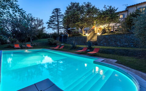 Casa Pippin 8: Schwimmbad, Blau, Resort, Eco Hotel, Estate, Hazienda, Garten, Hinterhof, Water Feature, Landscaping