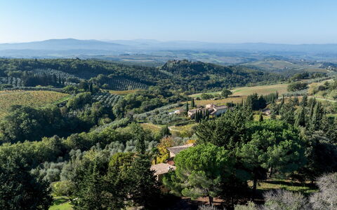 Castellare in Poggio 10: Baum, Natürlichen Umgebung, Vegetation, Hügel, Natürliche Landschaft, Landschaft, Hochland, Ökoregion, Pflanzengemeinschaft, Bergstation