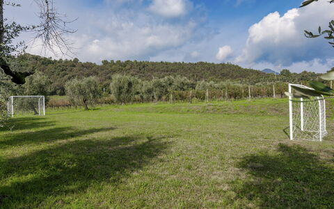 Tenuta Navelli 12+2: Gras, Baum, Wiese, Grundstueck, Einfach, Wiese, Weide, Rasen, Feld
