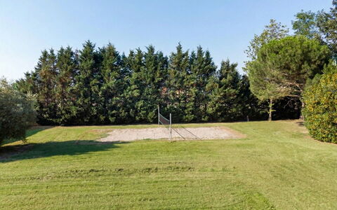 Nonna Isa 12: Baum, Gras, Einfach, Grundstueck, Rasen, Garten, Schatten, Gehölz, Wiese