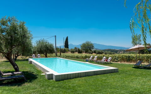 La Buona Maniera 10: Schwimmbad, Garten, Estate, Bauernhaus, Hazienda, Rasen, Resort, Hinterhof, Garten, Eco Hotel