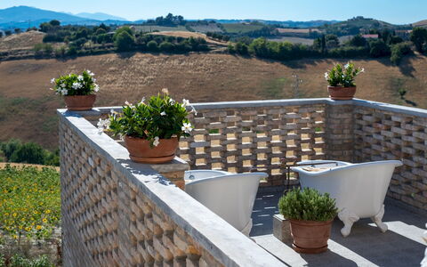 La Buona Maniera 10: Wand, Blumentopf, Gartenmöbel, Zimmerpflanze, Balkon, Stuhl, Tisch Im Freien, Schatten, Garten, Hinterhof