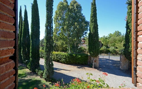 La Magia 8+2: Strauch, Gehölz, Garten, Landscaping, Immergrün, Hecke, Pine Familie
