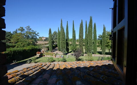 La Magia 8+2: Strauch, Garten, Landscaping, Immergrün, Pine Familie, Hecke