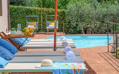 Villa Jasmine 8: Schwimmbad, Möbel, Gartenmöbel, Resort, Blumentopf, Eco Hotel, Zimmerpflanze, Stuhl, Sonnenliege, Schatten