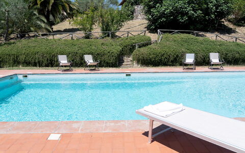 Villa la Pizzichina 10: Schwimmbad, Resort, Gartenmöbel, Möbel, Sonnenliege, Eco Hotel, Freizeit, Schatten, Thermae, Hotel
