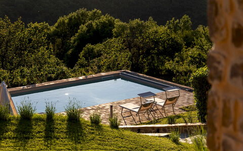 Poggio delle Lumie 6: Schwimmbad, Gartenmöbel, Garten, Sonnenliege, Landscaping, Hinterhof, Eco Hotel, Läge, Bauernhaus, Villa