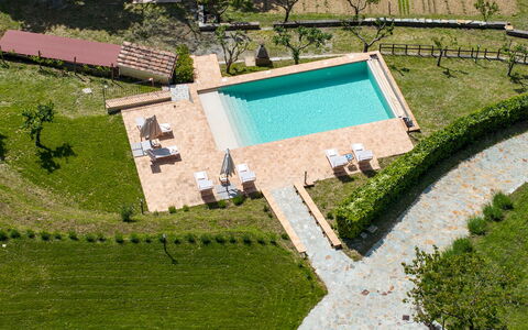 Poggio delle Lumie 6: Schwimmbad, Garten, Rasen, Landscaping, Resort, Plantage, Eco Hotel, Hinterhof, Kunstrasen, Gartenmöbel